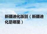 新疆迪化版別（新疆迪化是哪里）