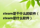 steam是干什么的軟件（steam是什么軟件）