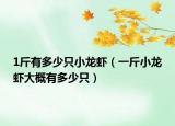 1斤有多少只小龍蝦（一斤小龍蝦大概有多少只）