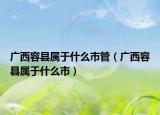 廣西容縣屬于什么市管（廣西容縣屬于什么市）
