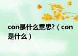 con是什么意思?（con是什么）