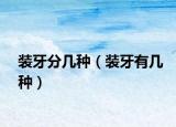 裝牙分幾種（裝牙有幾種）