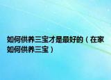 如何供養(yǎng)三寶才是最好的（在家如何供養(yǎng)三寶）