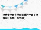 杜甫字什么號(hào)什么被譽(yù)為什么（杜甫字什么號(hào)什么之稱(chēng)）