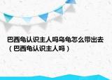 巴西龜認(rèn)識(shí)主人嗎烏龜怎么帶出去（巴西龜認(rèn)識(shí)主人嗎）