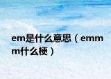 em是什么意思（emmm什么梗）