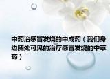 中藥治感冒發(fā)燒的中成藥（我們身邊隨處可見的治療感冒發(fā)燒的中草藥）