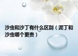 沙蟲(chóng)和沙丁有什么區(qū)別（泥丁和沙蟲(chóng)哪個(gè)更貴）
