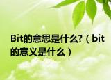 Bit的意思是什么?（bit的意義是什么）