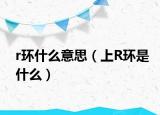 r環(huán)什么意思（上R環(huán)是什么）