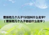 曹操有幾個(gè)兒子?分別叫什么名字?（曹操有幾個(gè)兒子都是什么名字）