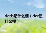 derb是什么梗（der是什么梗）