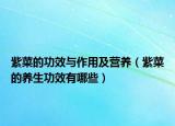 紫菜的功效與作用及營(yíng)養(yǎng)（紫菜的養(yǎng)生功效有哪些）
