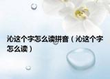 沁這個(gè)字怎么讀拼音（沁這個(gè)字怎么讀）