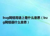 bug網(wǎng)絡(luò)用語(yǔ)上是什么意思（bug網(wǎng)絡(luò)語(yǔ)什么意思）