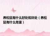 養(yǎng)松鼠有什么好處和壞處（養(yǎng)松鼠有什么危害）