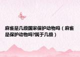 麻雀是幾級國家保護(hù)動(dòng)物嗎（麻雀是保護(hù)動(dòng)物嗎?屬于幾級）