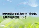 混合喂養(yǎng)需要注意哪些（盤點混合喂養(yǎng)需要注意什么）