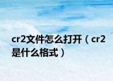 cr2文件怎么打開（cr2是什么格式）