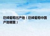 巨峰葡萄出產地（巨峰葡萄中國產地哪里）