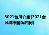 3021臺(tái)風(fēng)介紹(3021臺(tái)風(fēng)詳細(xì)情況如何)