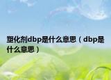 塑化劑dbp是什么意思（dbp是什么意思）