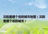 沈陽是哪個省的城市地圖（沈陽是哪個省的城市）