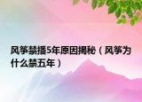 風(fēng)箏禁播5年原因揭秘（風(fēng)箏為什么禁五年）