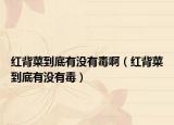 紅背菜到底有沒(méi)有毒啊（紅背菜到底有沒(méi)有毒）