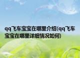 qq飛車寶寶在哪里介紹(qq飛車寶寶在哪里詳細情況如何)