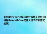 羽絨服thenorthface是什么牌子介紹(羽絨服thenorthface是什么牌子詳細(xì)情況如何)