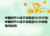 中國(guó)的殲14會(huì)不會(huì)就是SU35介紹(中國(guó)的殲14會(huì)不會(huì)就是SU35詳細(xì)情況如何)