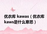 優(yōu)衣庫 kawas（優(yōu)衣庫kaws是什么意思）