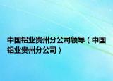 中國鋁業(yè)貴州分公司領導（中國鋁業(yè)貴州分公司）