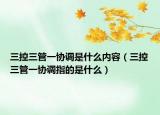 三控三管一協(xié)調是什么內容（三控三管一協(xié)調指的是什么）