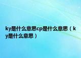 ky是什么意思cp是什么意思（ky是什么意思）