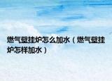 燃氣壁掛爐怎么加水（燃氣壁掛爐怎樣加水）