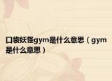 口袋妖怪gym是什么意思（gym是什么意思）