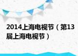 2014上海電視節(jié)（第13屆上海電視節(jié)）