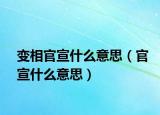 變相官宣什么意思（官宣什么意思）