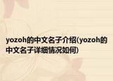 yozoh的中文名子介紹(yozoh的中文名子詳細(xì)情況如何)