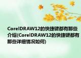 CorelDRAW12的快捷鍵都有那些介紹(CorelDRAW12的快捷鍵都有那些詳細(xì)情況如何)