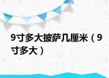 9寸多大披薩幾厘米（9寸多大）