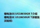 鋰電池SE(US18650GR T介紹 鋰電池SE US18650GR T詳細(xì)情況如何)