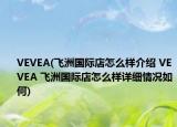 VEVEA(飛洲國際店怎么樣介紹 VEVEA 飛洲國際店怎么樣詳細情況如何)