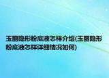 玉麗隱形粉底液怎樣介紹(玉麗隱形粉底液怎樣詳細(xì)情況如何)
