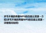 求毛不易的青春MP3的百度云資源～介紹(求毛不易的青春MP3的百度云資源～詳細(xì)情況如何)