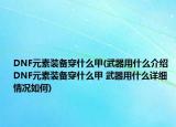 DNF元素裝備穿什么甲(武器用什么介紹 DNF元素裝備穿什么甲 武器用什么詳細(xì)情況如何)