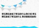 黛玉葬花表現(xiàn)了黛玉的什么(急介紹 黛玉葬花表現(xiàn)了黛玉的什么 急詳細(xì)情況如何)