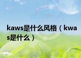 kaws是什么風(fēng)格（kwas是什么）